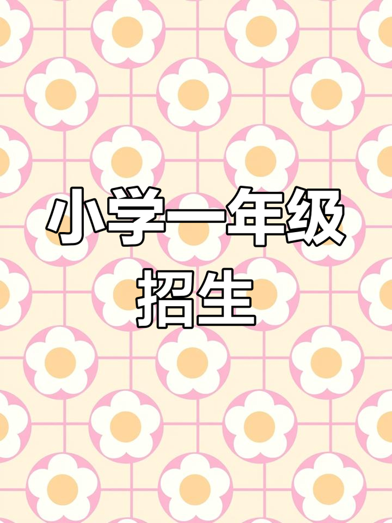 香港DSE课程辅导为何成为热门选择?